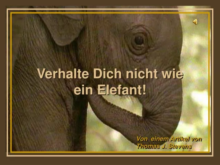 verhalte dich nicht wie ein elefant