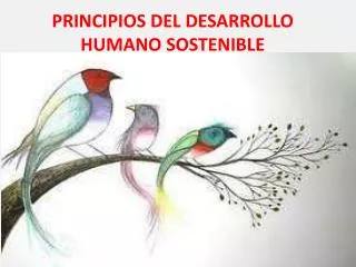 principios del desarrollo humano sostenible