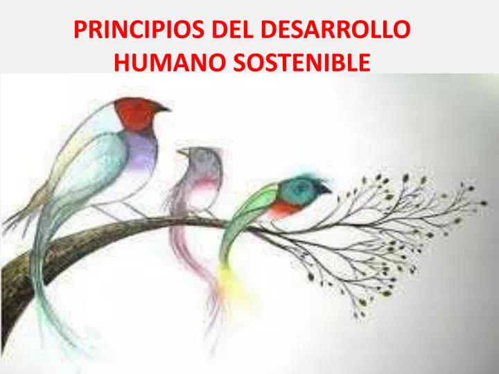 principios del desarrollo humano sostenible