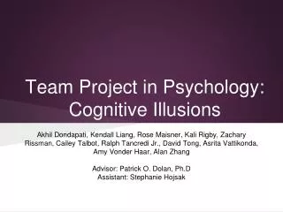 Team Project in Psychology: Cognitive Illusions