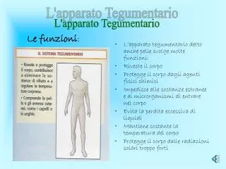 le funzioni