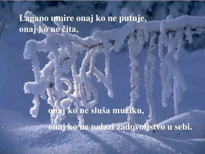 lagano umire onaj ko ne putuje onaj ko ne ita