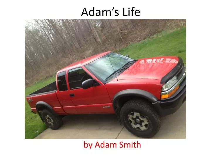 adam s life