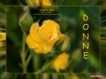 D O N N E - slide 1