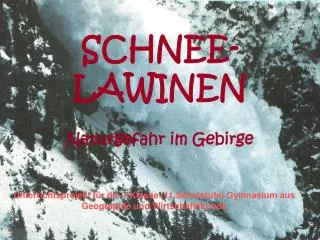 schnee lawinen