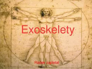 exoskelety