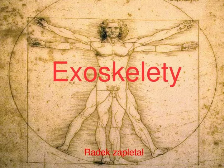 exoskelety