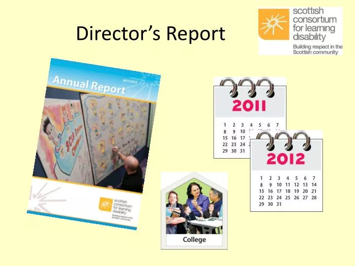 director s report