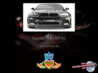 hamann bmw x6