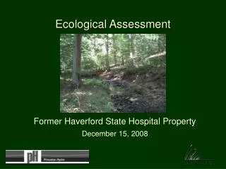 Ecological Assessment