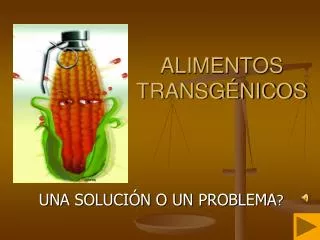alimentos transg nicos