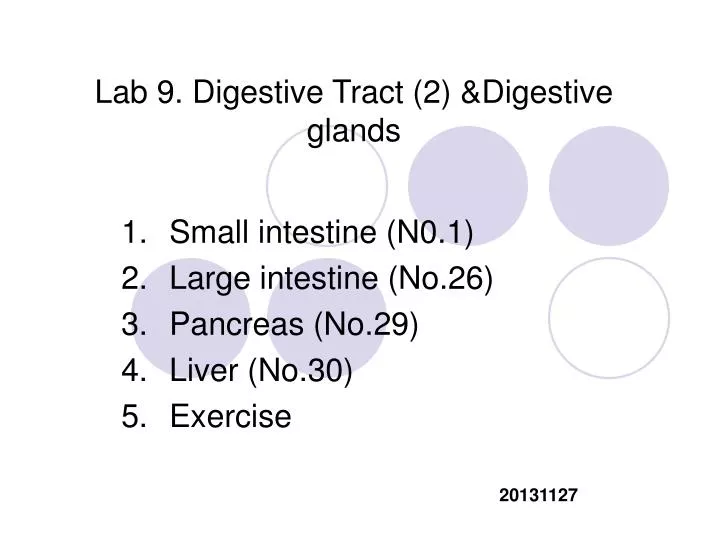 lab 9 digestive tract 2 digestive glands