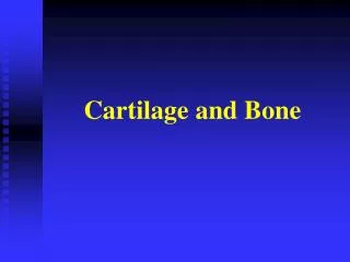 Cartilage and Bone