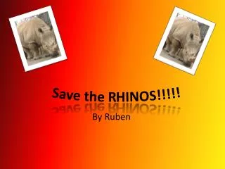 Save the RHINOS!!!!!