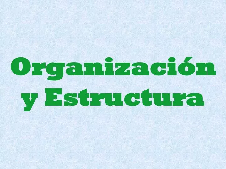 organizaci n y estructura