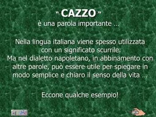 cazzo una parola importante
