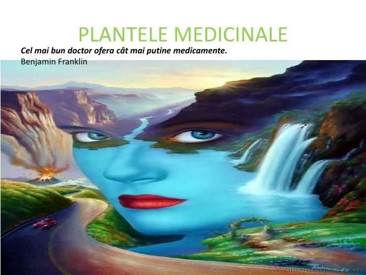 plantele medicinale