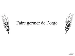 faire germer de l orge