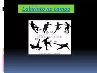 labirinto no campo