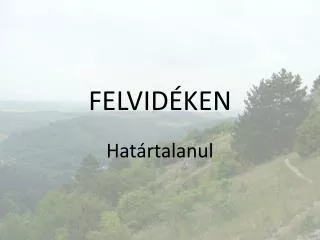 felvid ken