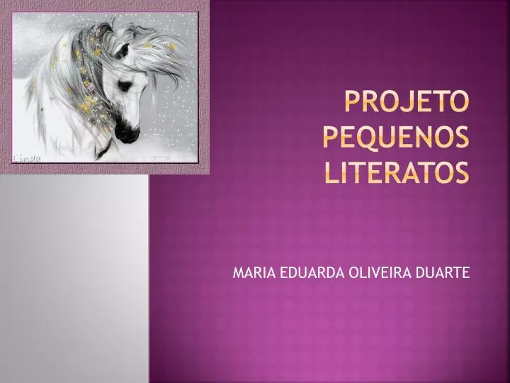 projeto pequenos literatos