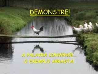 demonstre