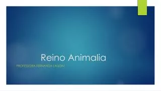 reino animalia