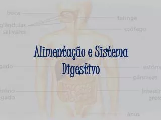alimenta o e sistema digestivo