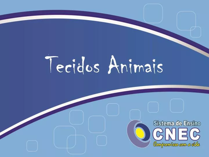 tecidos animais