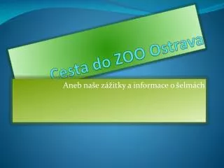 cesta do zoo ostrava