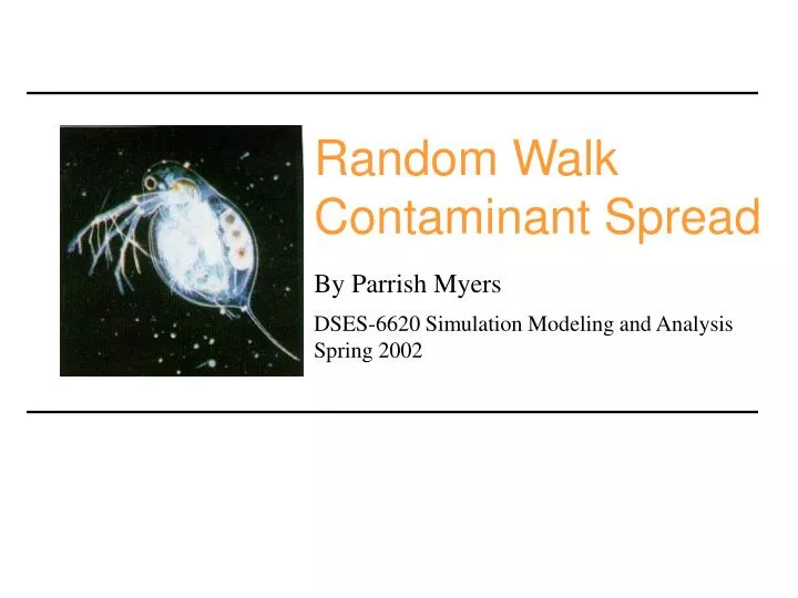 random walk contaminant spread