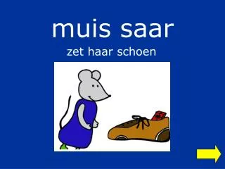 muis saar