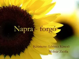napra forg