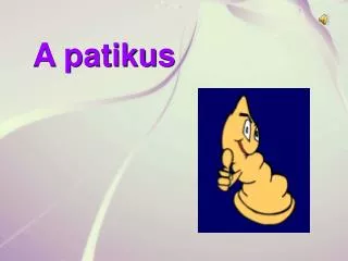 a patikus