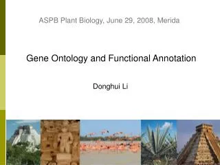 Gene Ontology and Functional Annotation