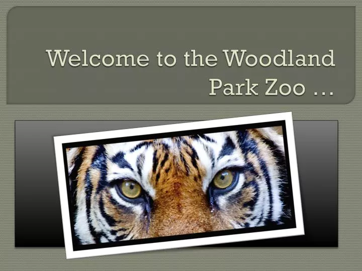 welcome to the woodland park zoo