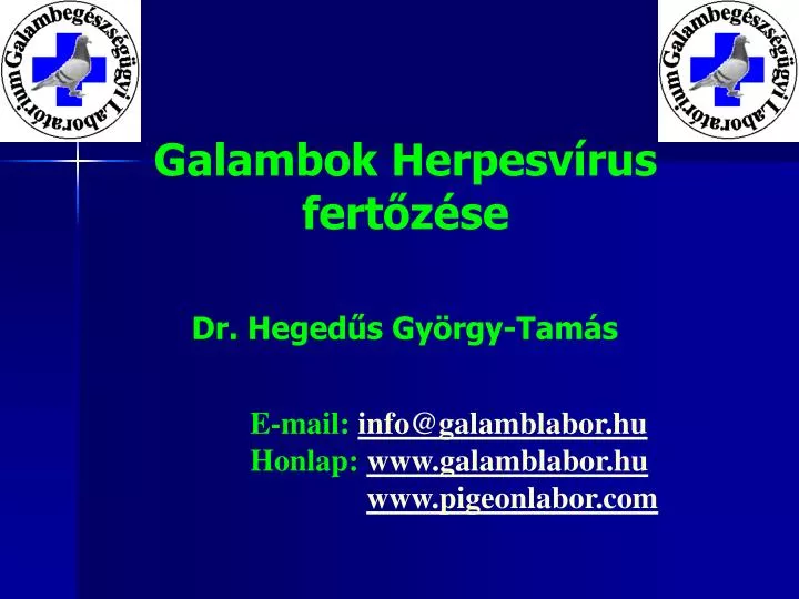 galambok herpesv rus fert z se