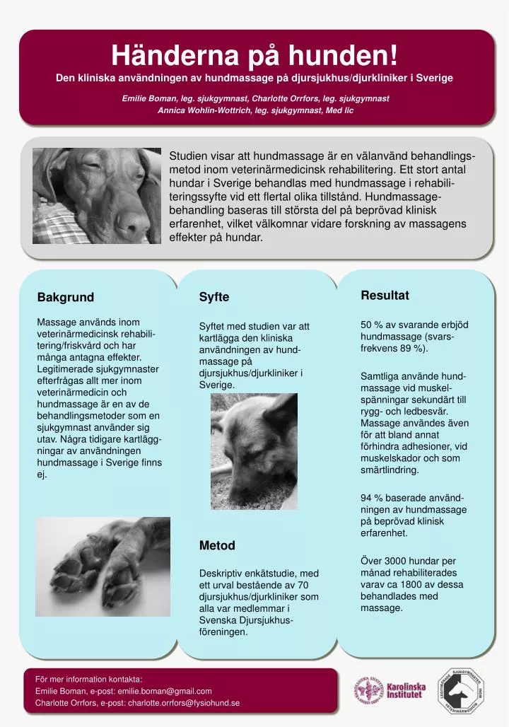 h nderna p hunden den kliniska anv ndningen av hundmassage p djursjukhus djurkliniker i sverige