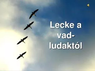 lecke a vad ludakt l
