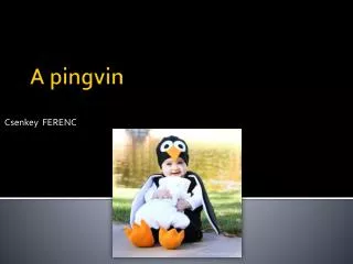 A pingvin