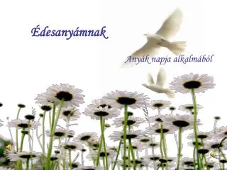 desany mnak