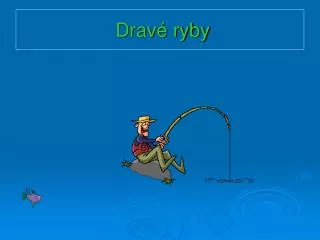 drav ryby