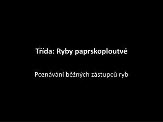 t da ryby paprskoploutv
