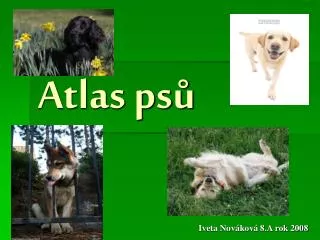 atlas ps