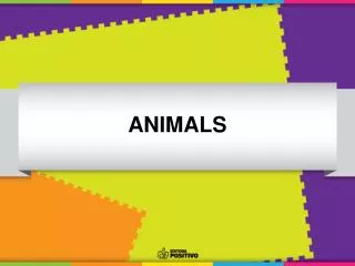 ANIMALS