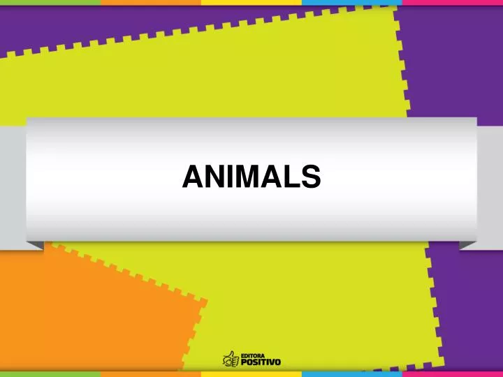 animals