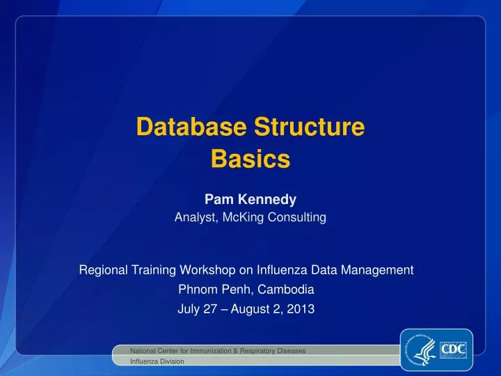 database structure basics