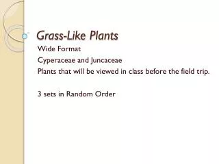 Grass-Like Plants
