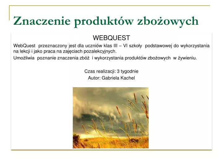 znaczenie produkt w zbo owych