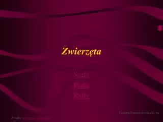 zwierz ta